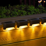 EcoGlow Solar Lights